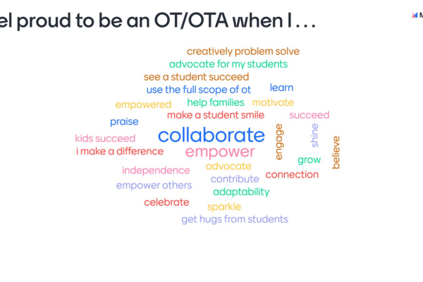 I feel proud to be an OT/OTA when I....