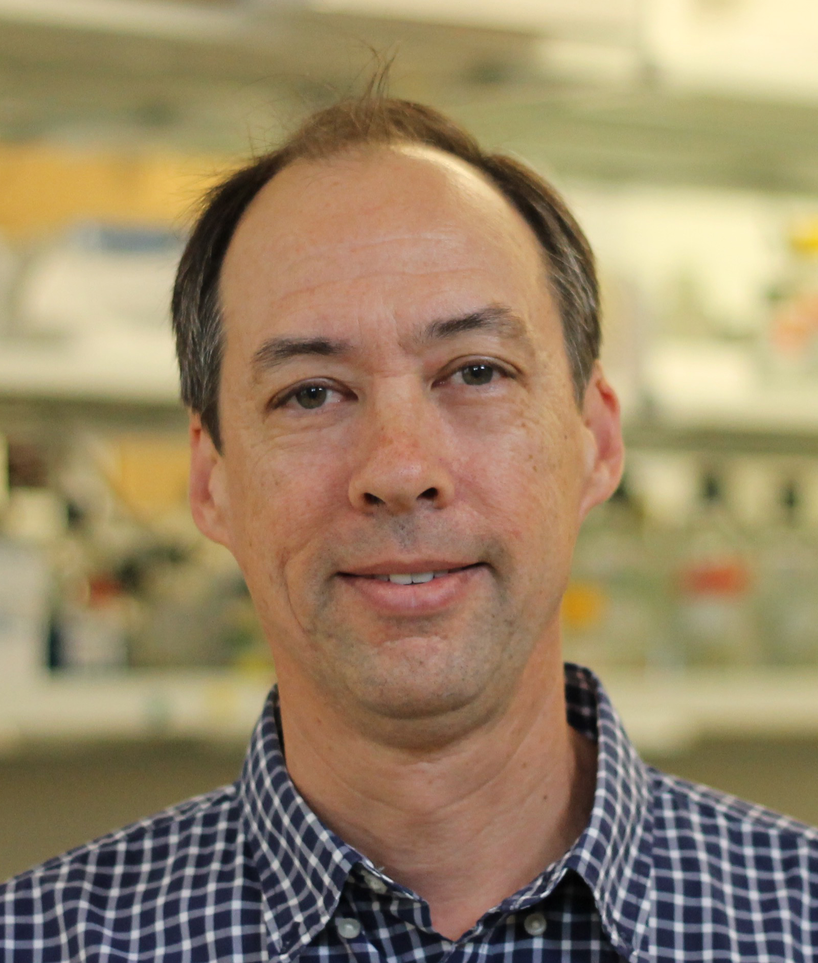 Picture of Andrew Lee PhD Joint Professor of Biochemistry and Biophysics and Pharmacy
