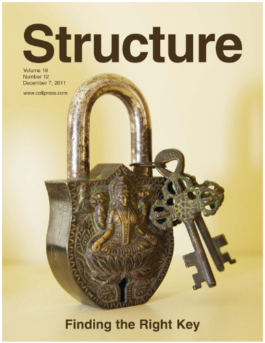 Cover of Structure, Vol 19 and Issue 12