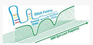 RNA folding
