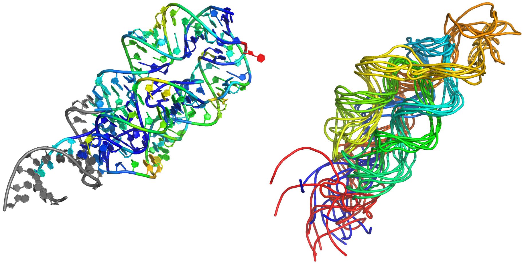 The left panel illustrates the structure of a metal-binding RNA. Each nucleotide is colored according to its experimentally-determined exposure to the outside solvent. Blue nucleotides tend to be buried inside the structure, and red nucleotides are mostly