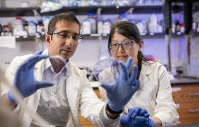 UNC Lineberger’s Gaorav P. Gupta, MD, PhD, and Wanjuan Feng, PhD, postdoctoral associate at UNC Lineberger, were corresponding and first authors (respectively) of a publication in Nature Communications.