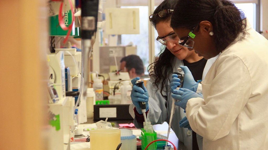 Juanita Limas (left) works at a lab bench with Amiee Littlejohn.