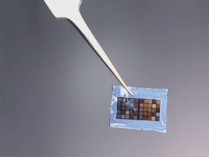 lung on a chip