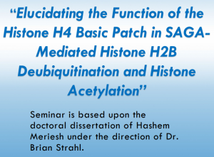 “Elucidating the Function of the Histone H4 Basic Patch in SAGA-mediated Hiistone H2B Deubiquitination and Histone Acetylation”” Seminar is based on the doctoral dissertation of Hashem Meriesh under the direction of Brian Strahl.