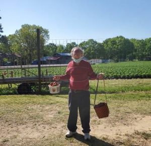 Bill Marzluff enjoys Strawberry picking