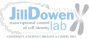 Jill Dowen lab transcriptional control of cell identity unc