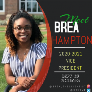 vice president Brea Hampton