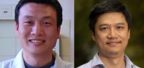 H. Fan PhD and Greg Wang PhD