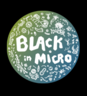 black in micro icon