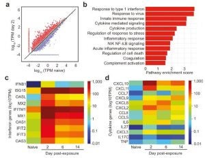 4 scientific images SARS-CoV-2 Paper Published in Nature