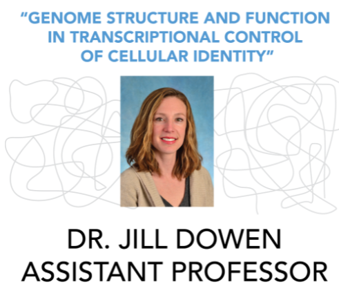 Dr. Jill Dowen’s seminar, "Genome structure and function in transcriptional control of cellular identity"