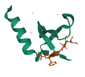 McGinty lab protein structure green and orange