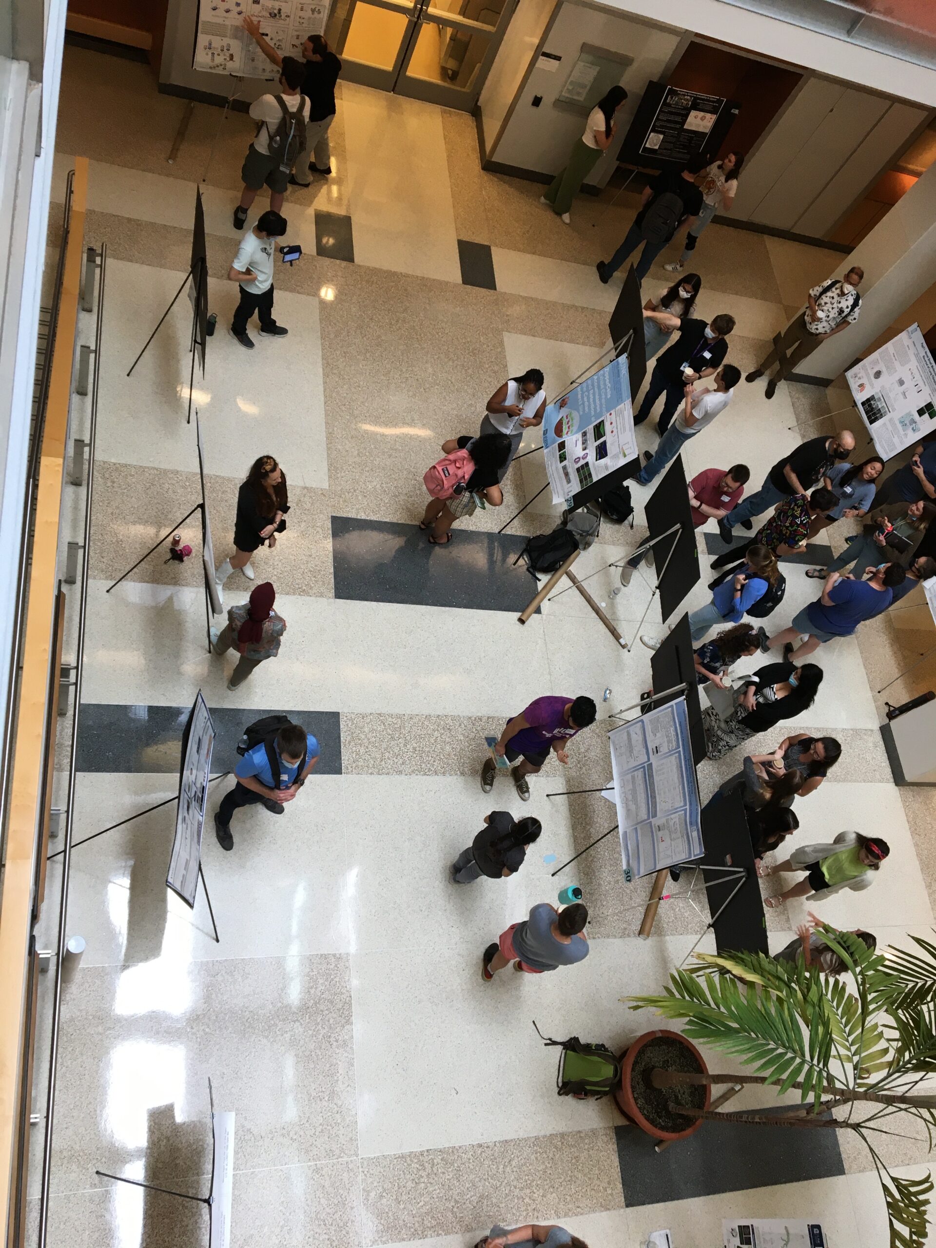 Poster session view from above