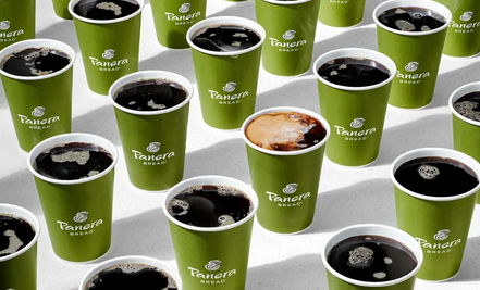 green Panera coffee cups with black coffee on a white table