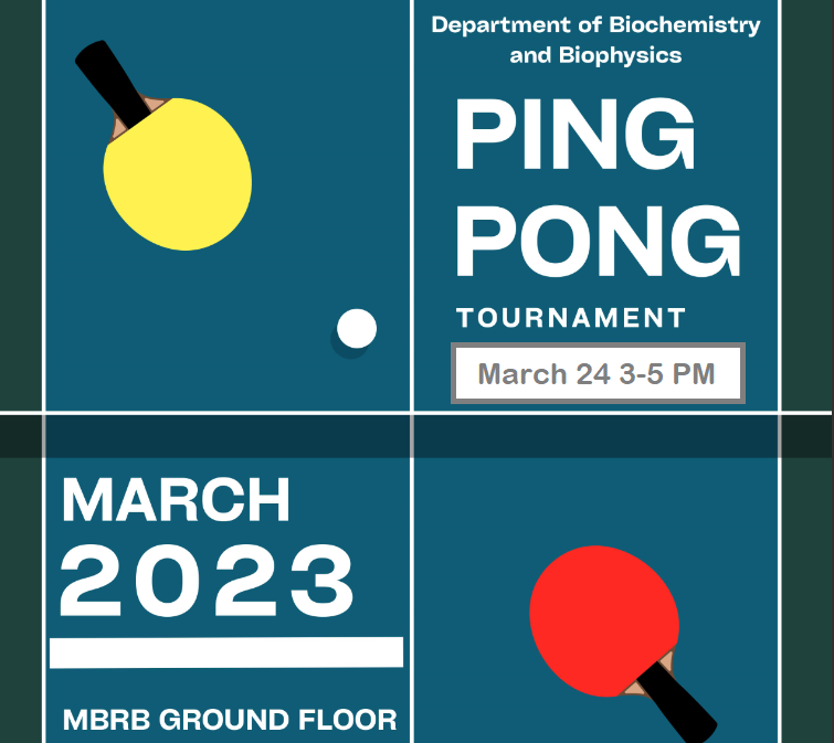 ping pong final version