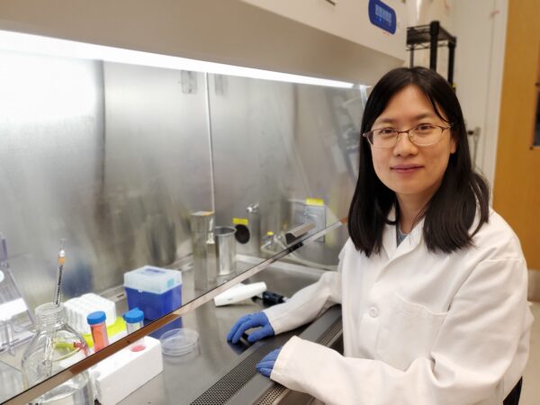 Liu Mei PhD by hood in lab with a white labcoat on