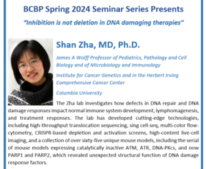 text "BCBP Spring 2024 Seminar Series Presents Inhibition is not deletion in DNA damaging therapies Shan Zha, MD, Ph.D. James A Wolff Professor of Pediatrics, Pathology and Cell Biology and of Microbiology and Immunology Institute for Cancer Genetics and in the Herbert Irving Comprehensive Cancer Center, Columbia University The Zha lab investigates how defects in DNA repair and DNA damage responses impact normal immune system development, lymphomagenesis, and treatment responses. The lab has developed cutting-edge technologies, including high-throughput translocation sequencing, sing cell-seq, multi-color flow-cytometry, CRISPR-based depletion and activation screens, high-content live-cell imaging, and a collection of over sixty-five unique mouse models, including the serial of mouse models expressing catalytically inactive ATM, ATR, DNA-PKcs, and now PARP1 and PARP2, which revealed unexpected structural function of DNA damage response factors." Photo of Dr. Zha.