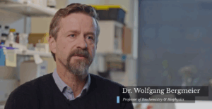 Dr Bergmeier lab video thumbnail