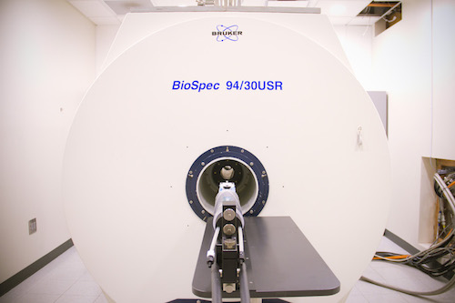 The Bruker Biospec 9.4T/30-cm horizontal bore animal MRI system