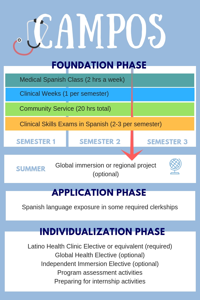 CAMPOS Foundation Phase graphic