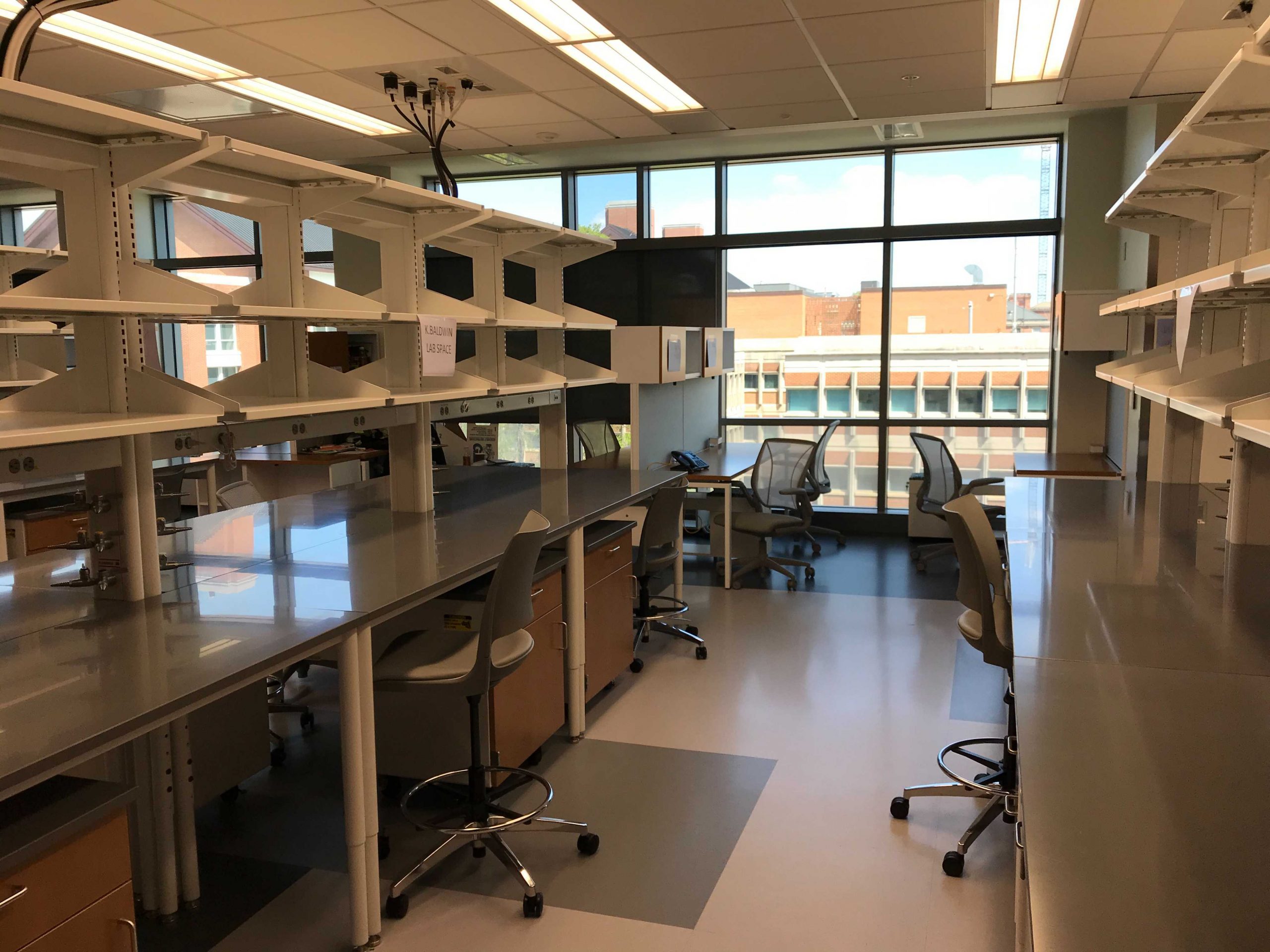 Baldwin lab on Day 1