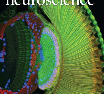 Nature Neuroscience, volume 14, number 3 March 2011
