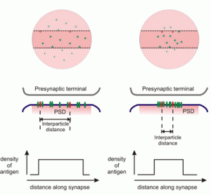 Weinberg Rotation 1 Weinberg Rotation 1