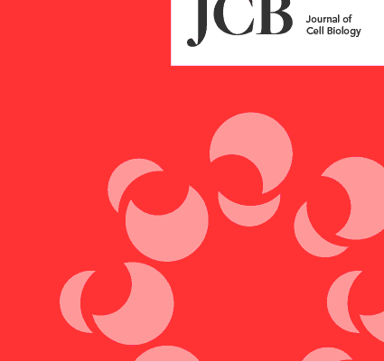 JCB Cover