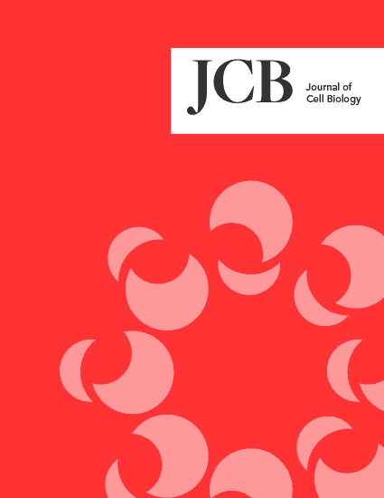 JCB Cover