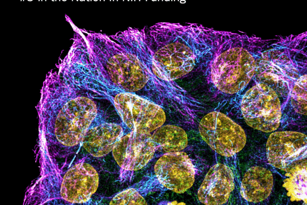 CBP In the Loop Fall 2025_Cover