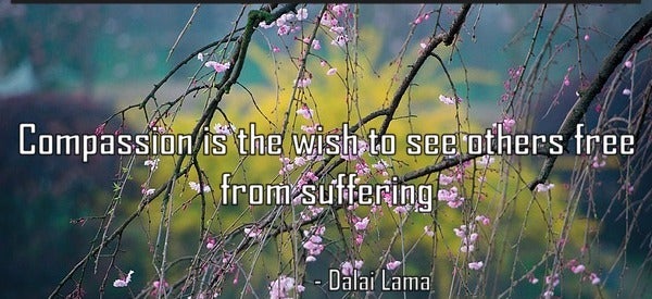 Compassion-is-the-wish-to-see-others-free-from-suffering-Suffering-Compassion-Quote-by-Dalai-Lama