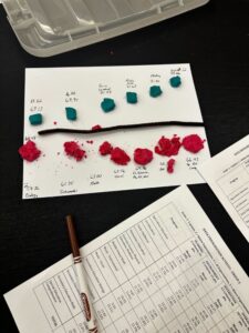 An overhead view of a chart made using green and red modeling clay and other physical materials.