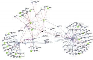 a point graph web matrix shows an example of network analysis outcome