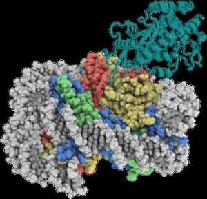 Cryo-EM Core Facility Determines High-Resolution Structure of Key DNA-sensing Protein