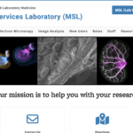 A screenshot of the new homepage for the Microscopy Services Laboratory