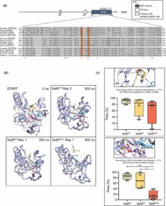 Generation Set8 proteins predicted to be catalytically inactive (https://doi.org/10.1093/genetics/iyac054)