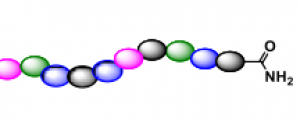 n-terminal-acetylation