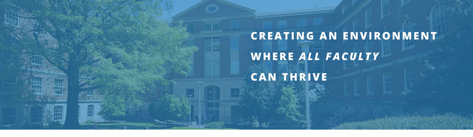 Creating an environment where all faculty can thrive