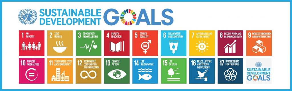 sustainable development goals graphic