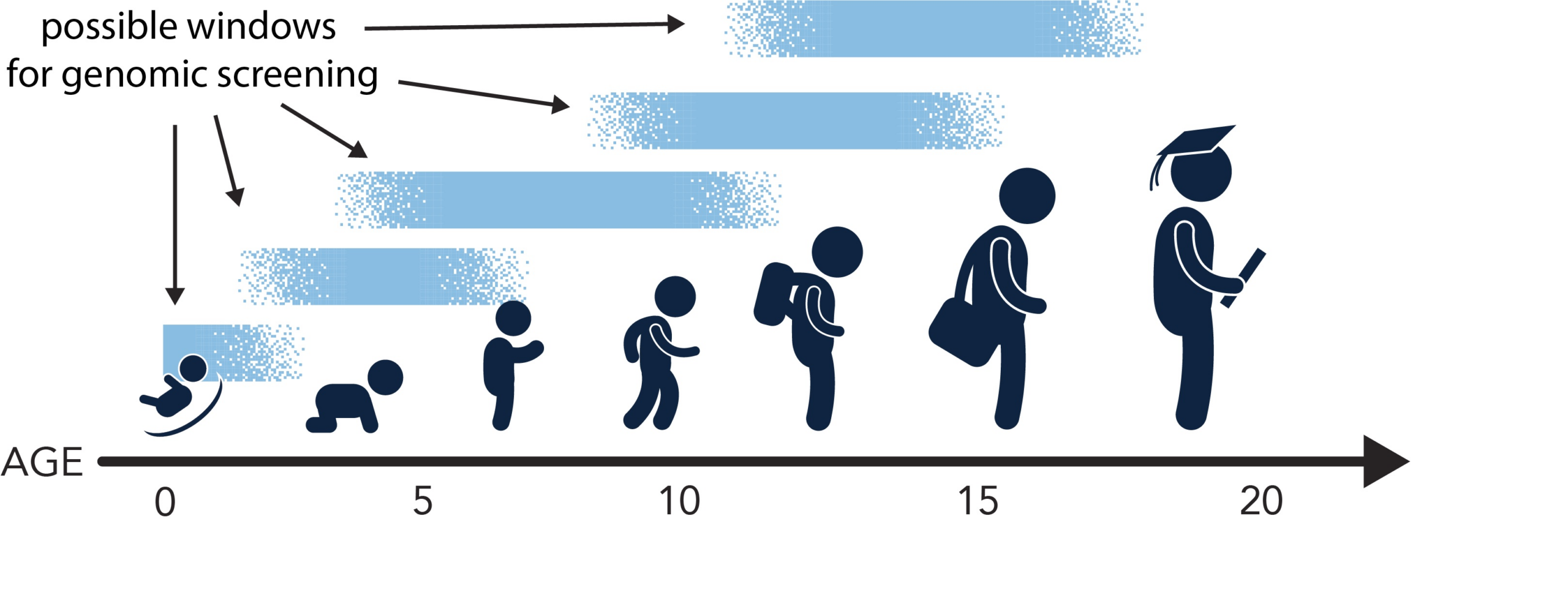 Stick figures at different age points going from: infant, toddler, small child, child, older child, teenager, and young adult/graduating adult.