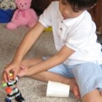 Illustration of goal S1