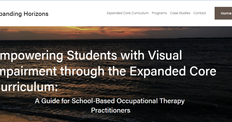 Empowering Students with Visual Impairment through the Expanded Core