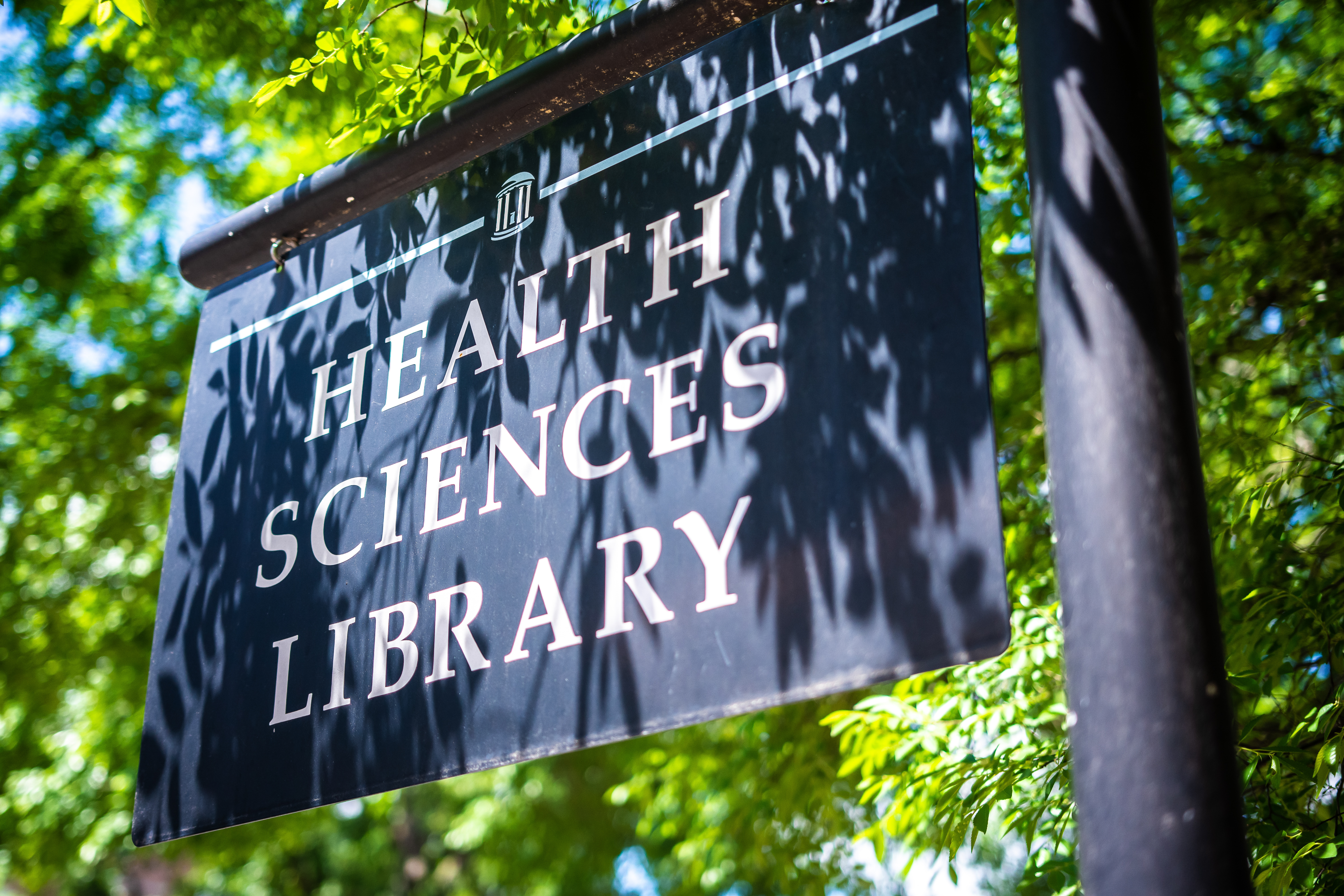 The Health Sciences Library