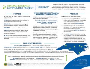 Trauman Informed Communities Project Factsheet