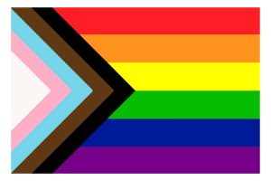New Pride Flag Pink, Blue, Brown, Black on left side in a triangle. Think Horizontal stripes of red, orange, yellow, green, blue, purple