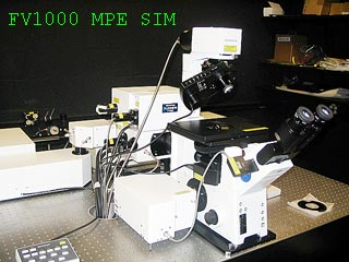 Olympus FV1000 MPE SIM Laser Scanning Confocal Microscope