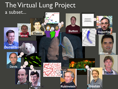 Virtual Lung