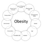 graphic showing factors which contribute to obesity
