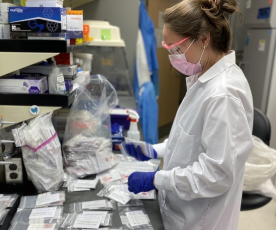 MD-PhD student Camille Morgan processes samples from her study of HBV transmission in the DRC